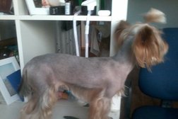 Ветеринарная клиника Жасмин, с рейтингом 3 - находится по адресу Самарская область, Волжский район, Новокуйбышевск, улица Фрунзе, 6 