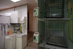 Ветеринарная клиника доктора Шелеховой М.В., с рейтингом 3.2 - находится по адресу Челябинск, Комсомольский проспект, 94 
