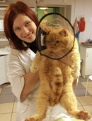 Афанасьева Евгения Максимовна