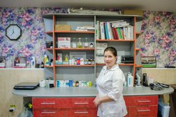 Ветеринарная клиника Миллион друзей, с рейтингом 3.9 - находится по адресу Республика Марий Эл, Йошкар-Ола, улица Строителей, 19 