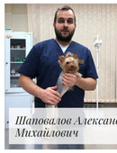 Шаповалов Александр Михайлович