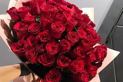 Flowers-Sib.ru