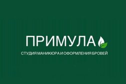 Студия маникюра и оформления бровей Примула, с рейтингом 4 - находится по адресу Кемеровская область — Кузбасс, Кемерово, бульвар Строителей, 23 