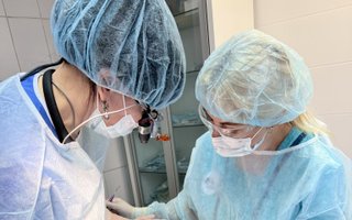 фотография работы врача Елены Юрьевны Данилевич