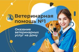 Выездная ветеринарная служба ЗООВЕТ-Дом, с рейтингом 4.9 - находится по адресу Московская область, Подольск, 142100, Революционный проспект, 72 