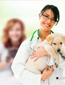 Хоробрых Алёна Сергеевна