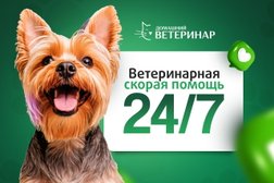 Домашний ветеринар