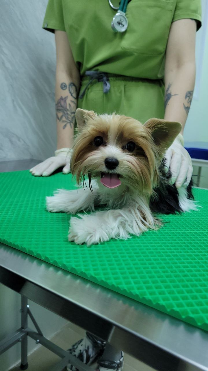 клиник спб отзывы сотрудников. газпромпереработка в санкт-петербурге. ниу вшэ спб 03 наталья +сезнева. институт экономики москва. максим сергеев косметология спб.