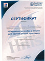 сертификат/документ Ветеринарной клиники Дон Терьеро