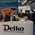 фотография Delko