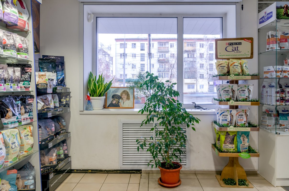 ИнноВет, центр ветеринарных услуг на улице Чкалова в Томске - отзывы ...