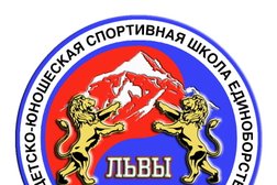 ДЮСШ единоборств Львы Кавказа, с рейтингом 5 - находится по адресу Ставропольский край, Минеральные Воды, Пятигорская улица, 25 