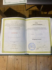 Кинезиолог, кинезитерапевт Вячеслав Викторович Лапеев