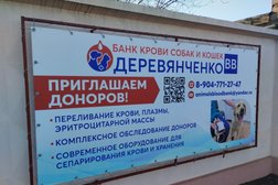 Банк крови клиники Деревянченко, с рейтингом 4.8 - находится по адресу Волгоград, Чистоозёрная улица, 4 