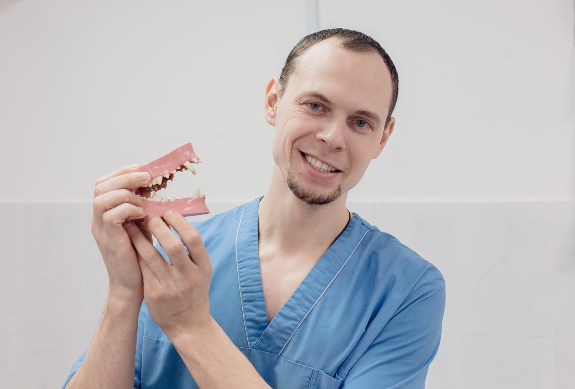 Центр ветеринарных услуг ИнноВет - отзывы, фото, цены, телефон и адрес ...