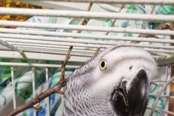 Ветеринарная клиника Финист, с рейтингом 3.1 - находится по адресу Астрахань, улица Юрия Селенского, 9 