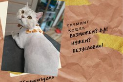 Зоосалон Груминг-будка, с рейтингом 5 - находится по адресу Санкт-Петербург, Вилеровский переулок, 6 