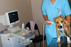 Участок Cоветского района Воронежская городская станция по борьбе с болезнями животных, с рейтингом 3.4 - находится по адресу Воронеж, Пеше-Стрелецкая улица, 48 