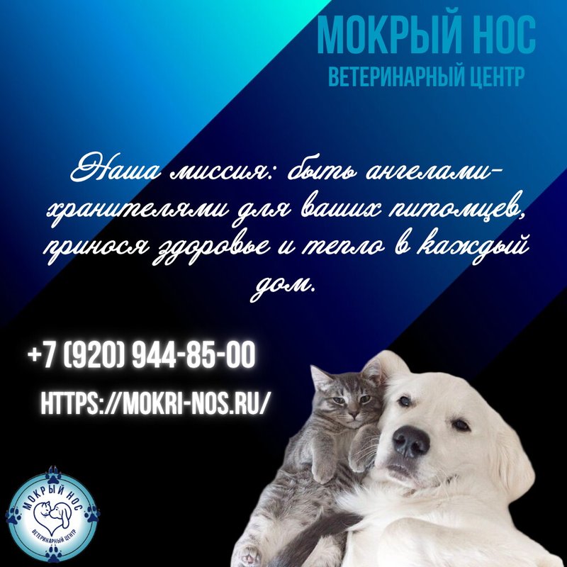 фотография Ветеринарного центра Мокрый нос на Краснобогатырской улице, д13 стр 3