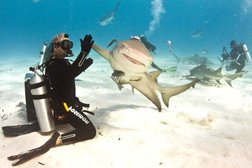 Турагентство Anex, с рейтингом 3.5 - находится по адресу Москва, Каширское шоссе, 61 к2 