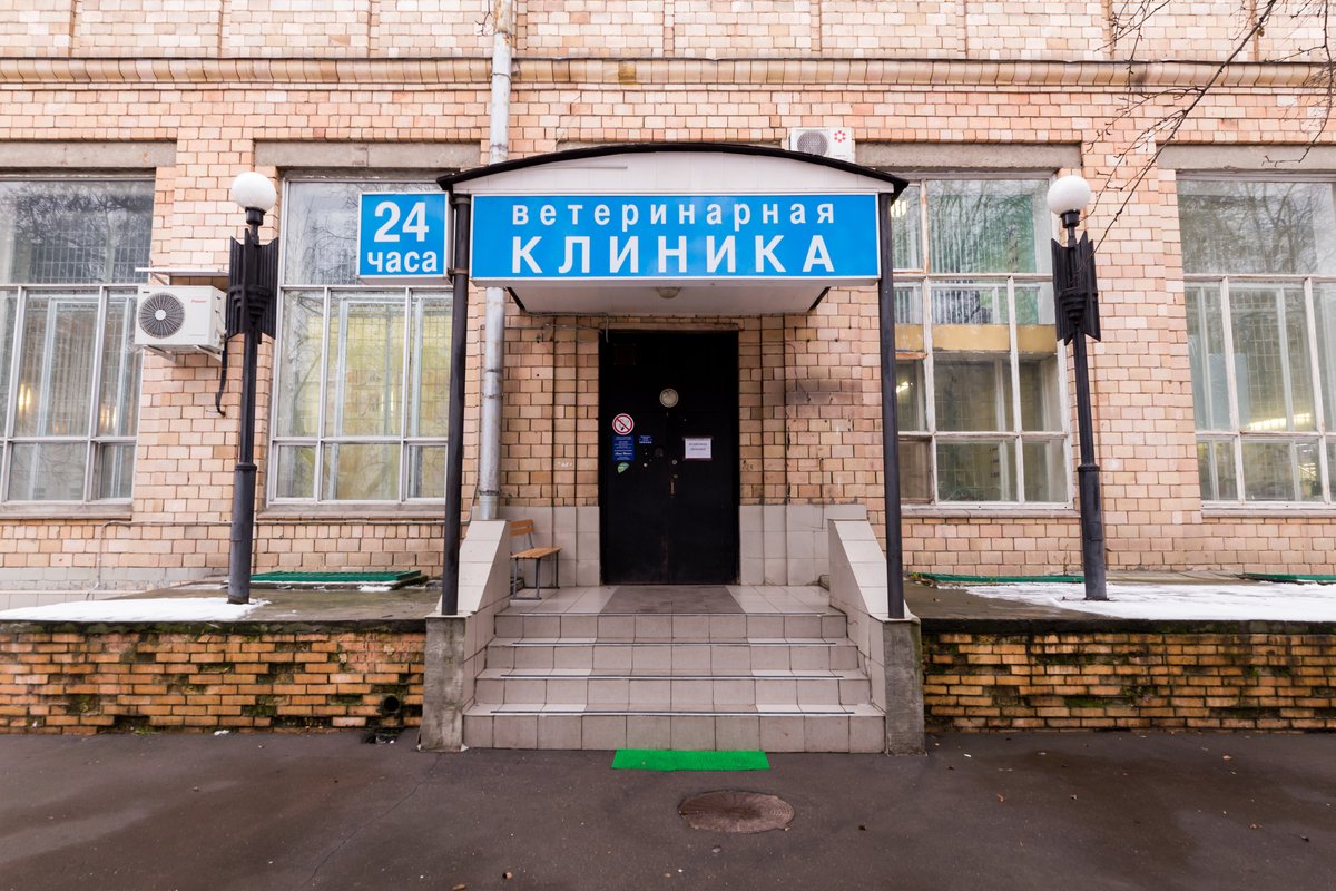 Ветклиника цветочный проезд 2. Ветеринарная клиника на хавской улице. бона менте. бона менте клиника. бона менте ветклиника симферопольский проезд.