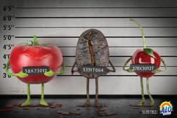 Типография Аппарель-Полиграфия, с рейтингом 4.3 - находится по адресу Ярославль, проспект Ленина, 8Б 