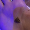 фото от пользователя Юля в отзыве о ресторане Витязь в Балашихе