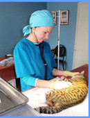 Артюхина Елена Александровна