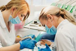 Стоматология АрДент, с рейтингом 4.5 - находится по адресу Санкт-Петербург, Богатырский проспект, 7 к10 ст1 