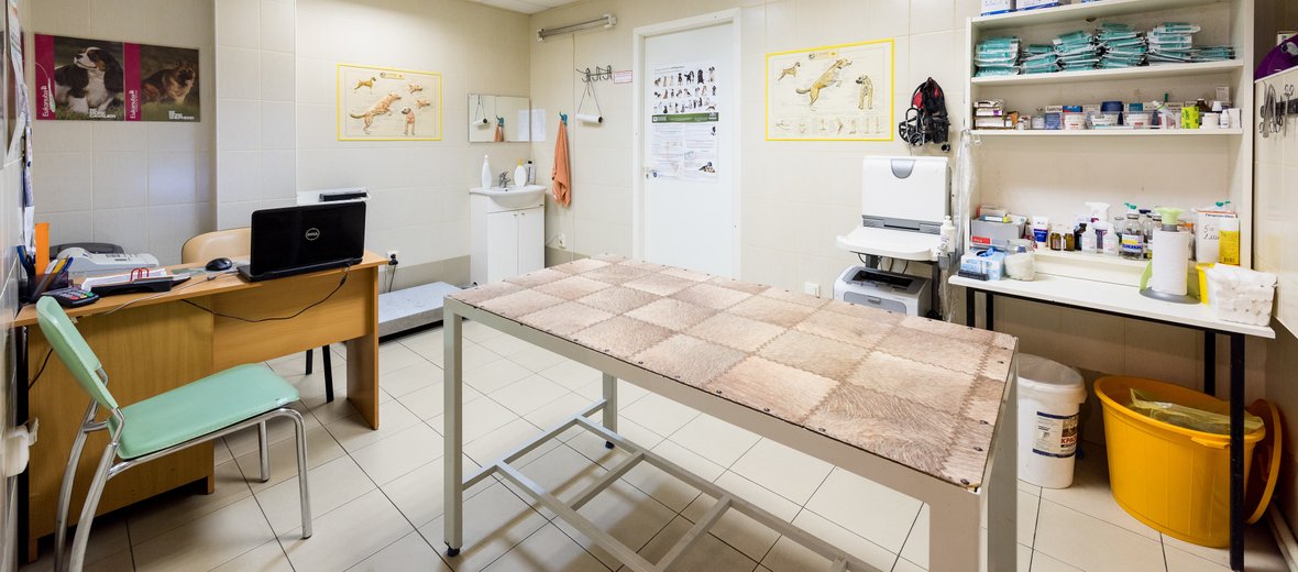 Ветеринарная на будапештской. Ветклиника на купчинской. Будапештская улица 97к2. Ветеринарная на будапештской. Будапештская 97 корпус 2.