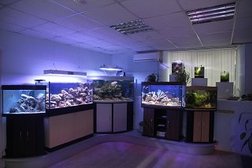 Магазин аквариумов и террариумов Ventus aqua, с рейтингом 4.1 - находится по адресу Москва, улица Доватора, 4/7 