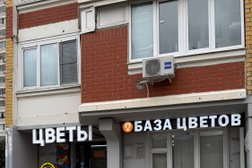 Городская база цветов