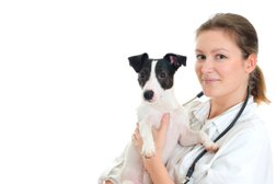 Выездная ветеринарная клиника Айболит, с рейтингом 5 - находится по адресу Саратов, Буровая улица, 25 