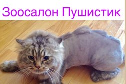 Зоосалон Пушистик, с рейтингом 4.3 - находится по адресу Москва, улица Крылатские Холмы, 35 к4 