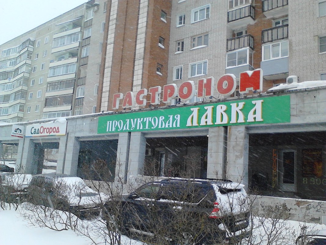 Пенза займ под птс Пенза займ под птс