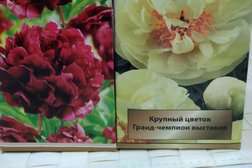 Делёнка