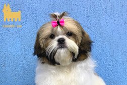 Салон красоты для животных Groomer Bar, с рейтингом 3.1 - находится по адресу Ростов-на-Дону, бульвар Комарова, 30 