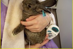 Ветеринарная клиника Дарьи Суховой, с рейтингом 3.6 - находится по адресу Тюмень, Широтная улица, 114 