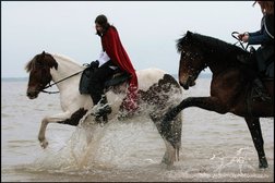 Конный клуб У моря Обского, с рейтингом 4.5 - находится по адресу Новосибирск, Софийская улица, 15 к9 