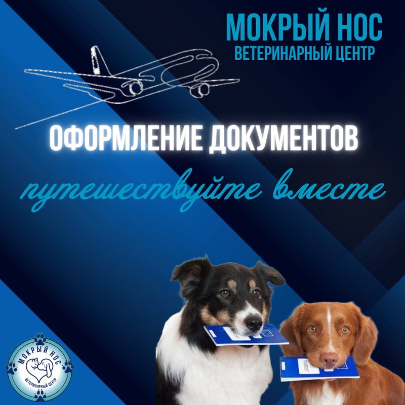 фотография Ветеринарного центра Мокрый нос на Халтуринской улице, д18
