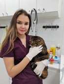 Салофильева Алина Сергеевна