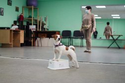 Кинологический центр Альтер эго, с рейтингом 3.4 - находится по адресу Томск, Партизанская улица, 9/5 