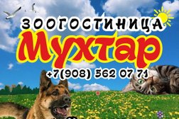 Зоогостиница Мухтар, с рейтингом 3.2 - находится по адресу Иваново, Загородное шоссе, 5а 