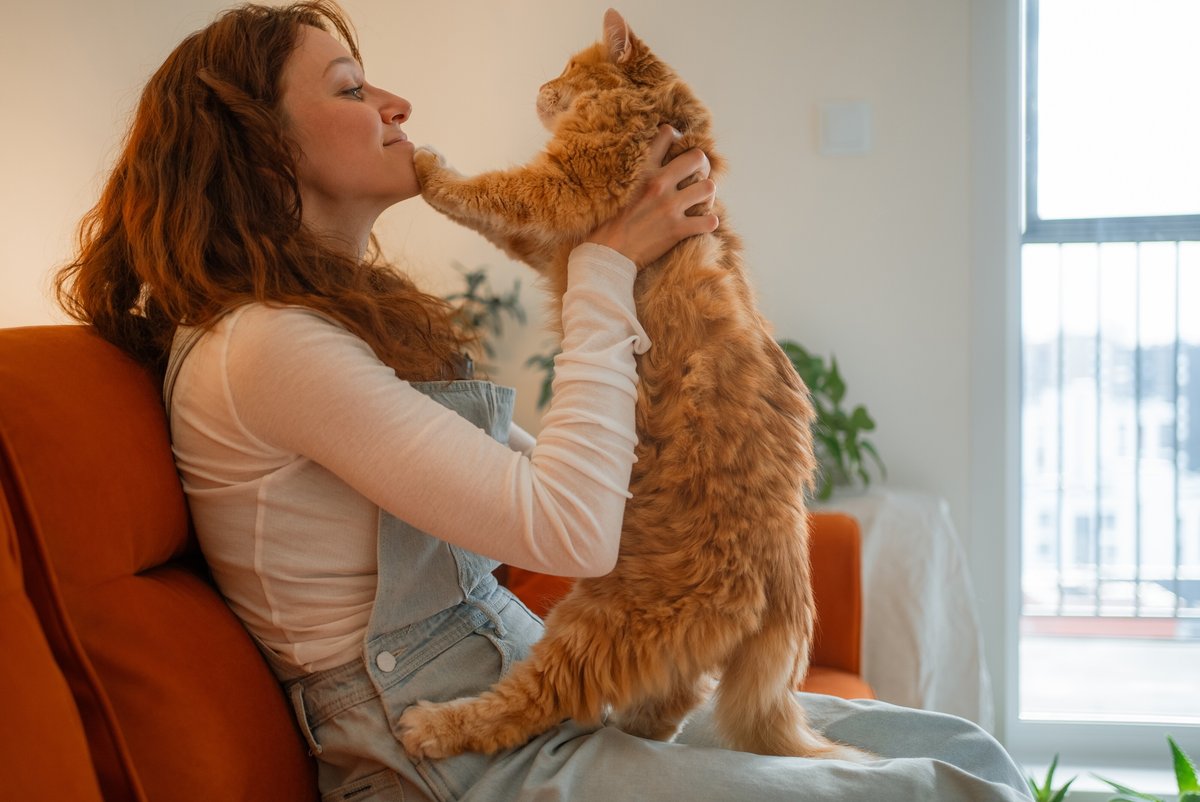 Фото рыжего кота с девушкой