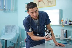 Ветеринарная клиника доктора Осипова, с рейтингом 2.1 - находится по адресу Брянск, улица Ермакова, 1Б 