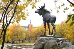 Судебный участок Управление судебного департамента в Мурманской области №1, с рейтингом 3.5 - находится по адресу Мурманская область, Мончегорск, Комсомольская улица, 9 