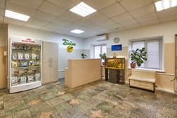 Ветеринарная клиника Байга, с рейтингом 5 - находится по адресу Саратов, улица Танкистов, 84 к1 