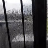 фото от пользователя Илья П в отзыве о ProCleaner