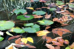 Клуб путешествий Зов гор, с рейтингом 3.9 - находится по адресу Москва, проспект Вернадского, 6 