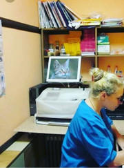 Ветеринарный врач-дерматолог, ветеринар Вера Александровна Пополитова